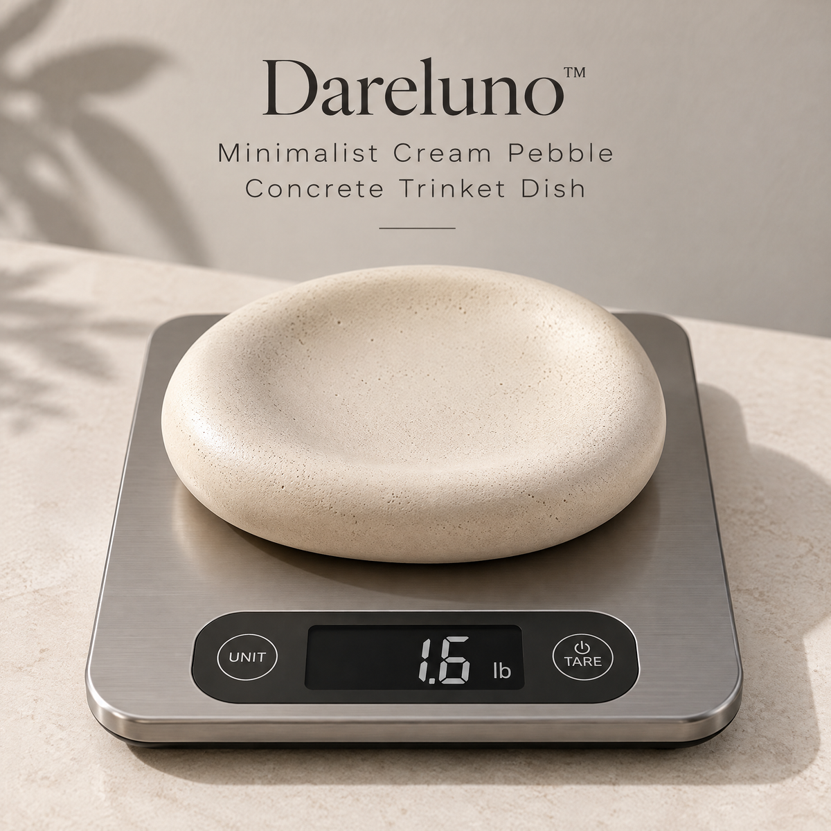 Dareluno™ Sculptural Fan Jewelry Tray – Decorative Ring & Trinket Organizer